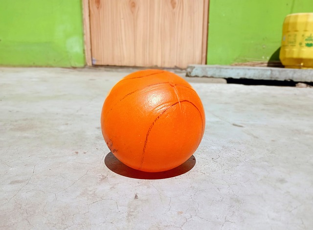 俱乐部组织 俱乐部组织