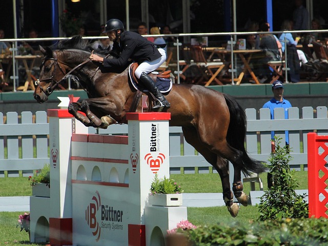 不仅承载了 不仅承载了