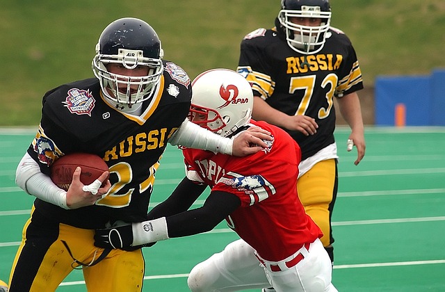 资借鉴的范 资借鉴的范