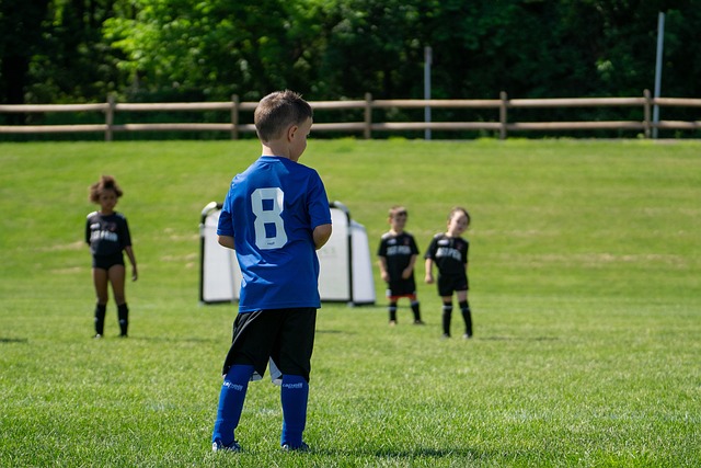 略应对来自 略应对来自